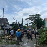 Satu Rumah Rusak Akibat Pohon Tumbang, Polres Majene Evakuasi Pohon Tumbang di Jalan AP. Pettarani