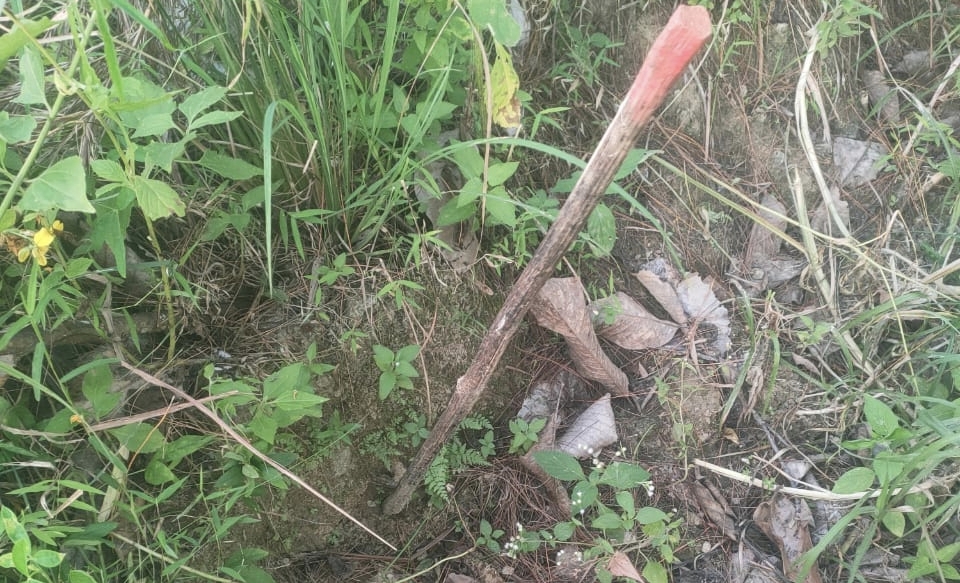 Kades Bombong Lambe Angkat Bicara Perihak Dugaan Korupsi Program Agroforestry Tahun 2025
