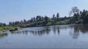 Air Sungai Budong-Budong Menghitam, Limbah Sawit Disorot