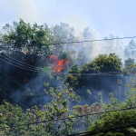 Kebakaran Lahan di Majene Meluas Hingga Perbatasan Desa, Warga Soroti Dugaan Kelalaian Pemilik Lahan