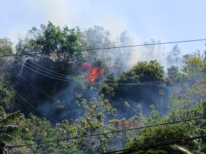 Kebakaran Lahan di Majene Meluas Hingga Perbatasan Desa, Warga Soroti Dugaan Kelalaian Pemilik Lahan
