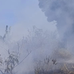 Kebakaran Lahan di Majene Meluas, Mendekati Sekolah dan Permukiman Warga