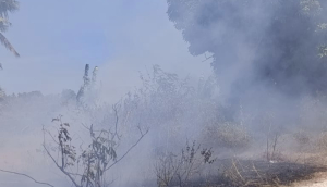 Kebakaran Lahan di Majene Meluas, Mendekati Sekolah dan Permukiman Warga