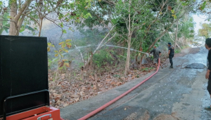 Kebakaran Lahan di Majene Mendekati Permukiman, Dua Hektare Terbakar