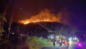 Kebakaran Lahan Melanda Dua Desa Di Majene