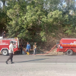 Kebakaran Landa Desa Bonde Majene, Damkar Kerahkan 3 Unit Mobil dan 25 Personel