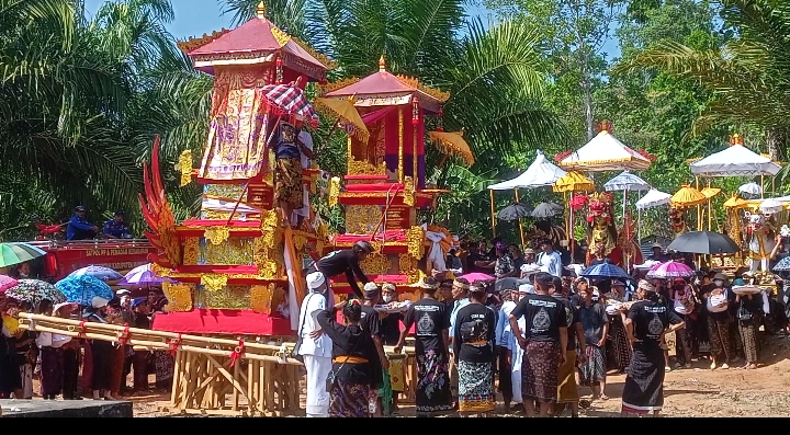 Rawat Tradisi, Ngaben Massal di Tommo Diikuti 63 Sawo