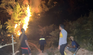 Sulbar Dikepung 3.000 Titik Panas, Gubernur: “Jangan Bakar Lahan”!
