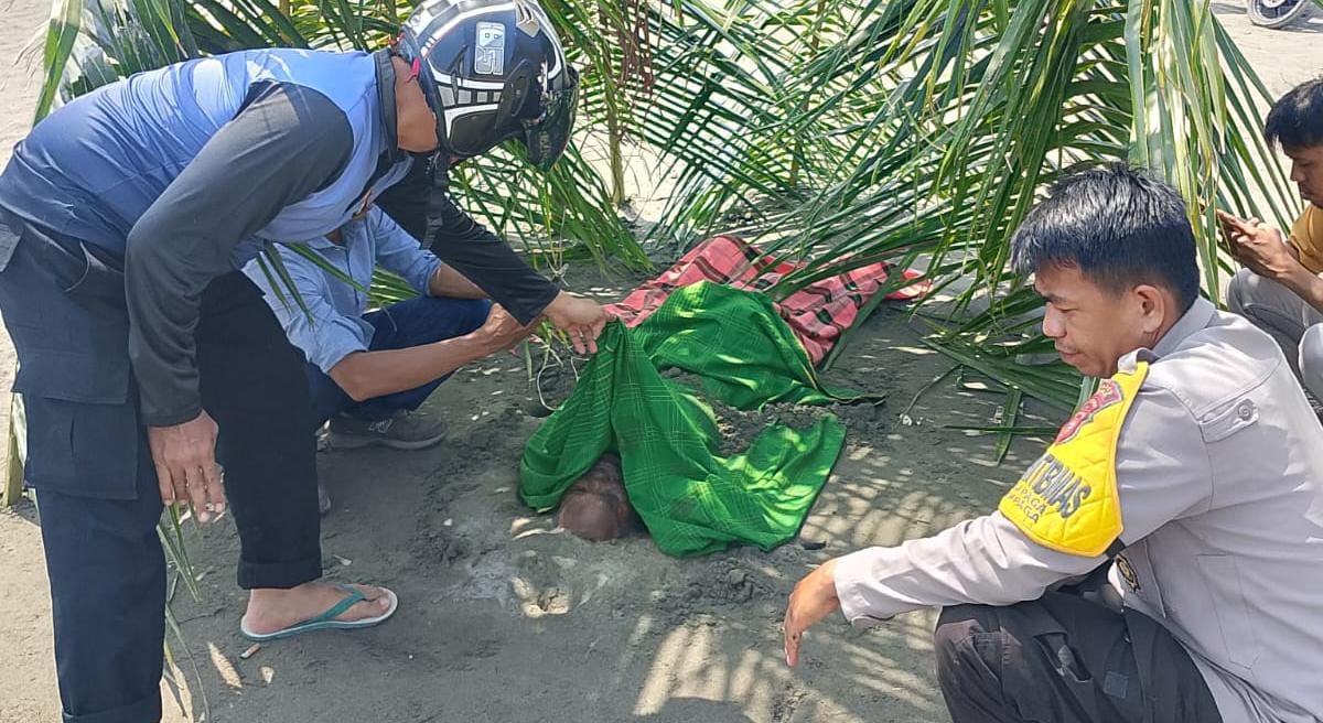 Mayat Tanpa Identitas Ditemukan di Pantai Dato, Polisi Lakukan Evakuasi