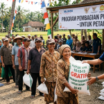 Pupuk Gratis Dikeluhkan, Ketua Kelompok Tani Saluahok Ngaku Dipersulit Penyalur