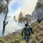 Karhutla Kepung Mamasa, Satu Rumah Warga di Nosu Ludes Terbakar