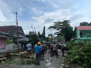 Satu Rumah Rusak Akibat Pohon Tumbang, Polres Majene Evakuasi Pohon Tumbang di Jalan AP. Pettarani