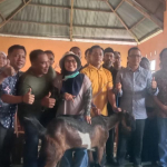 Peternak Kambing di Polman Fokus Pada Pakan dan Pemeliharaan