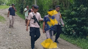 Diduga Rudapaksa Anak di Bawah Umur, Seorang Pria di Mamuju Dibekuk Polisi