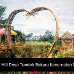 Menjemput Kabut di Citol Hill, Wisata Favorit di Mamasa