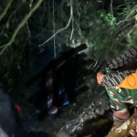 BREAKING NEWS:Pria di Mamasa Ditemukan Gantung diri di Pohon