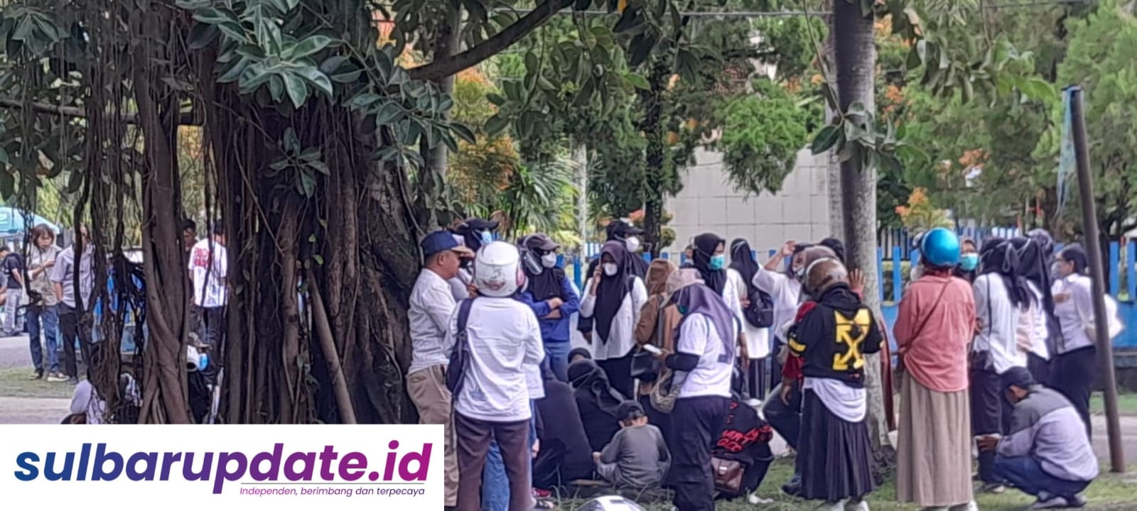 Diabaikan Kebijakan, Nakes dan Guru Honorer Menginap di Kantor Bupati Mamuju