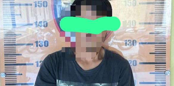 Pria di Mamuju Curi Buah Sawit Buat Bayar Cicilan Motor, Pelaku Dibekuk Polisi