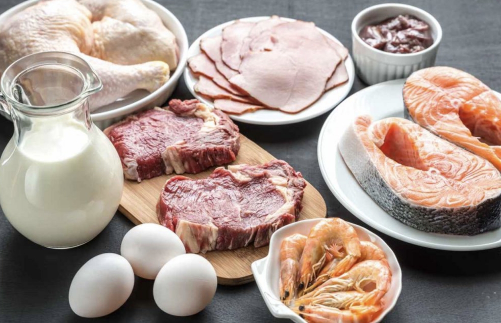 Jaga Massa Otot hingga Imunitas, Ahli Gizi Tekankan Pentingnya Kecukupan Protein Harian