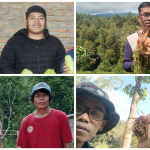 Petani Mamasa di Berbagai Tempat, Dukung Penuh Program MBG