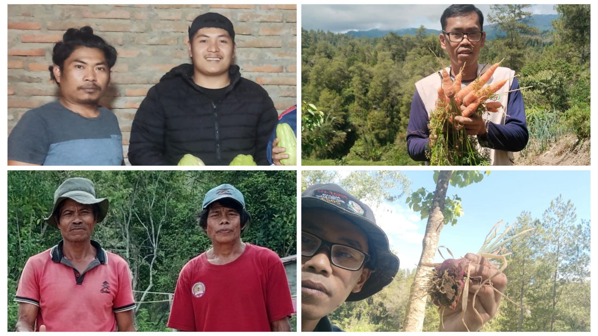 Petani Mamasa di Berbagai Tempat, Dukung Penuh Program MBG