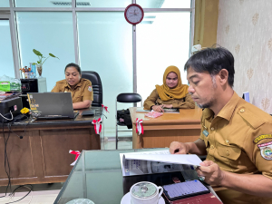 Sinergi Program Pemerintah Pusat dan Daerah, DPMPTSP Sulbar Optimalkan Aplikasi Potensi Investasi Regional