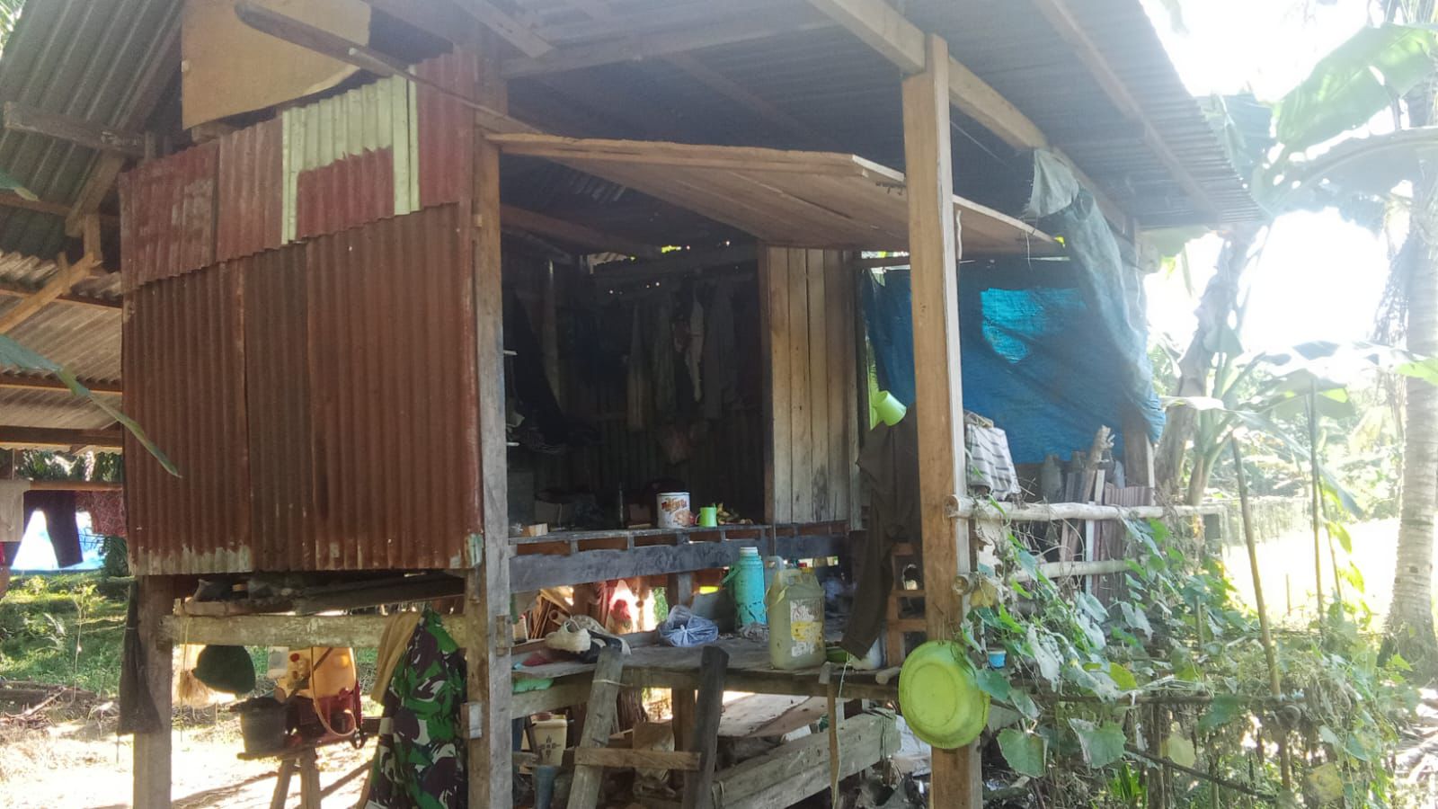 Nestapa Arif Usman di Mamuju Tengah, Tinggal dalam Gubuk Sempit 2×3 Meter