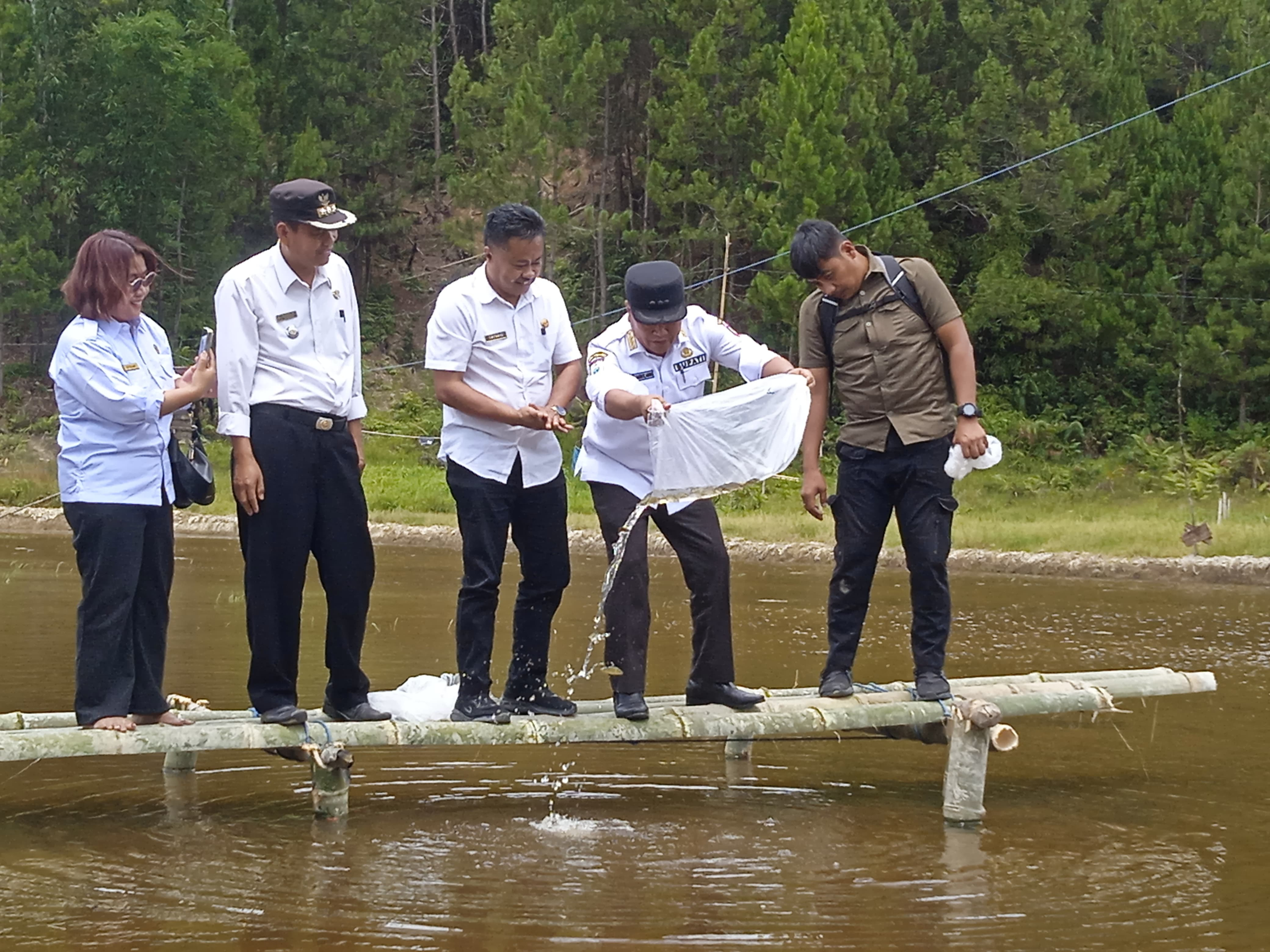 Pemkab Mamasa Salurkan 15 Ribu Benih Ikan dan Pupuk di Tawalian