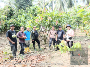 Perkuat Perkebunan, Pemprov Sulbar Percepat Penetapan Kebun Sumber Benih Kakao