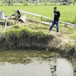 BREAKING NEWS: Bocah 4 Tahun di Polman Tewas Tenggelam di Kolam Irigasi