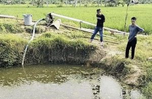 BREAKING NEWS: Bocah 4 Tahun di Polman Tewas Tenggelam di Kolam Irigasi