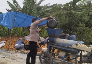 Luruhnya Batas Seragam Saat Bripka Hirwan Menyatu dengan Keringat Petani Saluahok