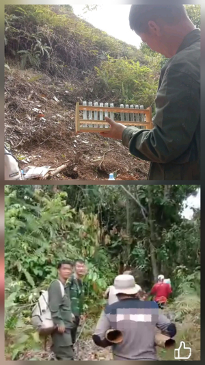 Ada Aktivitas Orang Asing di Kawasan Hutan Botteng Berseragam Mirip Militer