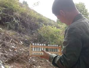 Heboh! Warga Laporkan Sekelompok WNA Berseragam Mirip Militer di Hutan Botteng