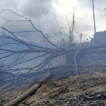 2 Hektare Lahan di Anreapi Polman Terbakar