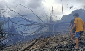 2 Hektare Lahan di Anreapi Polman Terbakar