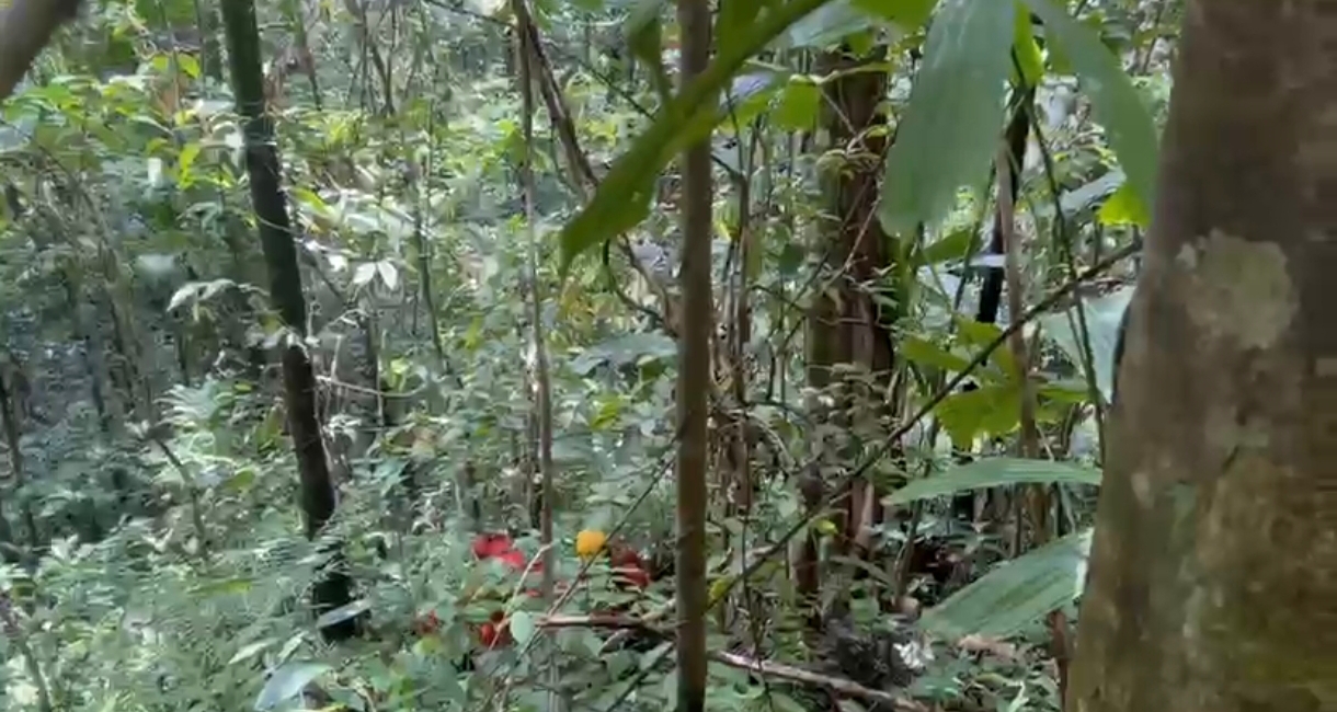 2 Pekan Hilang di Hutan Botteng, Sakir Masih Dicari