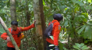 Remaja 14 Tahun yang Hilang di Hutan Botteng Mamuju Ditemukan Selamat