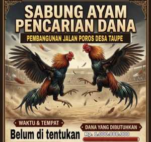 Viral Pamflet “Sabung Ayam” di Taupe untuk Perbaikan Jalan
