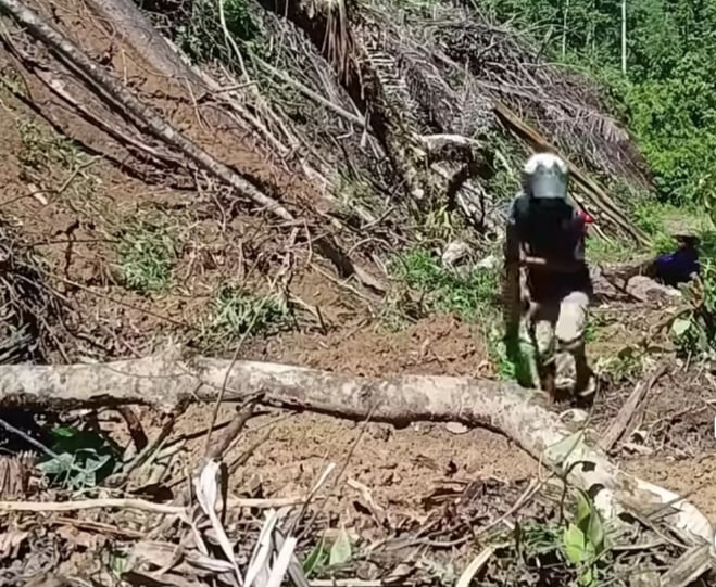 Diguyur Hujan Deras, Jalan Poros Pangandaran–Burana Lumpuh Akibat Longsor