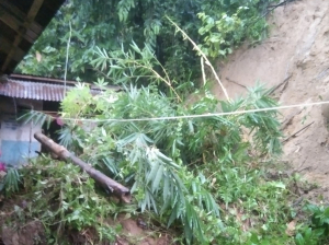 BREAKING NEWS:Diguyur Hujan Deras, Dua Rumah di Desa Rantelemo Tertimbun Longsor