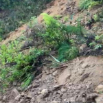 Tumpukan Material Longsor Tutup Jalan Poros Sika-Mehalaan