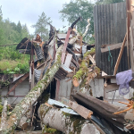 Dua Rumah Warga Ambruk Tertimpa Pohon Beringin Tumbang di Mamasa   