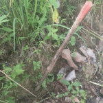 Kades Bombong Lambe Angkat Bicara Perihak Dugaan Korupsi Program Agroforestry Tahun 2025