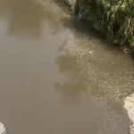 BREAKING NEWS: Air Sungai Mamasa Mendadak Hitam Pekat