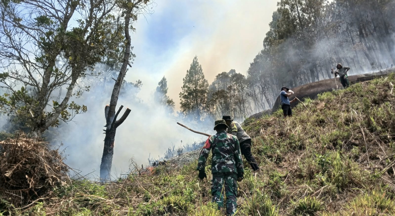 Karhutla Kepung Mamasa, Satu Rumah Warga di Nosu Ludes Terbakar